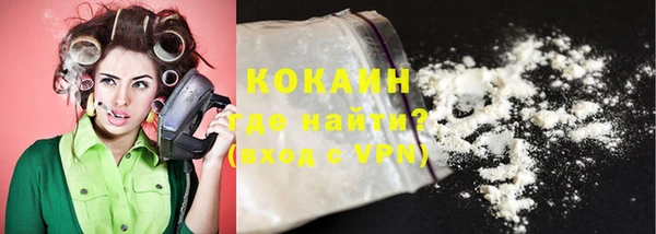 PSILOCYBIN Михайлов
