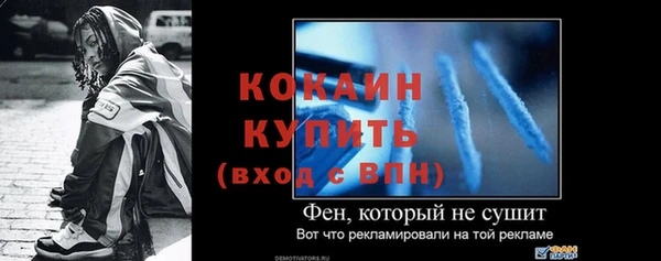 PSILOCYBIN Михайлов