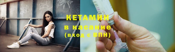 крисы Мегион