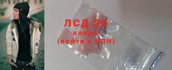 крисы Мегион