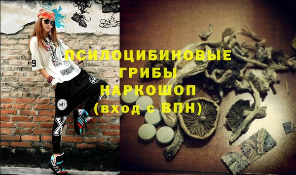 ГАЛЛЮЦИНОГЕННЫЕ ГРИБЫ Михайловск