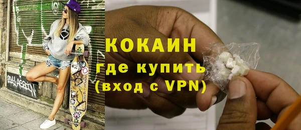 крисы Мегион