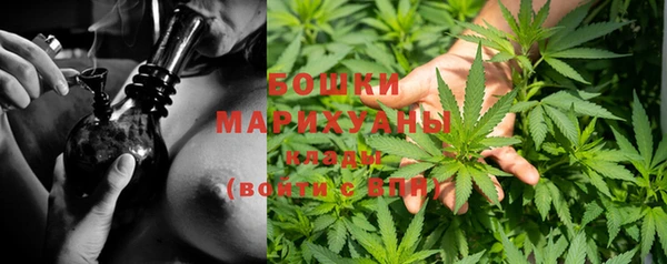 ГАЛЛЮЦИНОГЕННЫЕ ГРИБЫ Михайловск