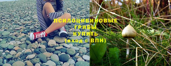 ГАЛЛЮЦИНОГЕННЫЕ ГРИБЫ Михайловск