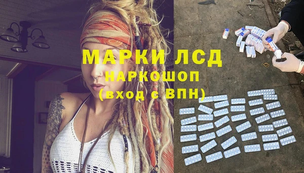 PSILOCYBIN Михайлов
