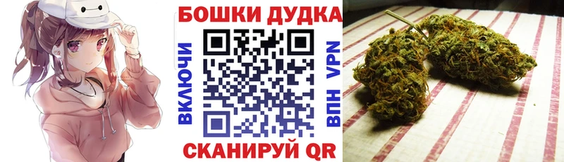 omg ссылка  как найти закладки  Никольск  Канабис сатива 